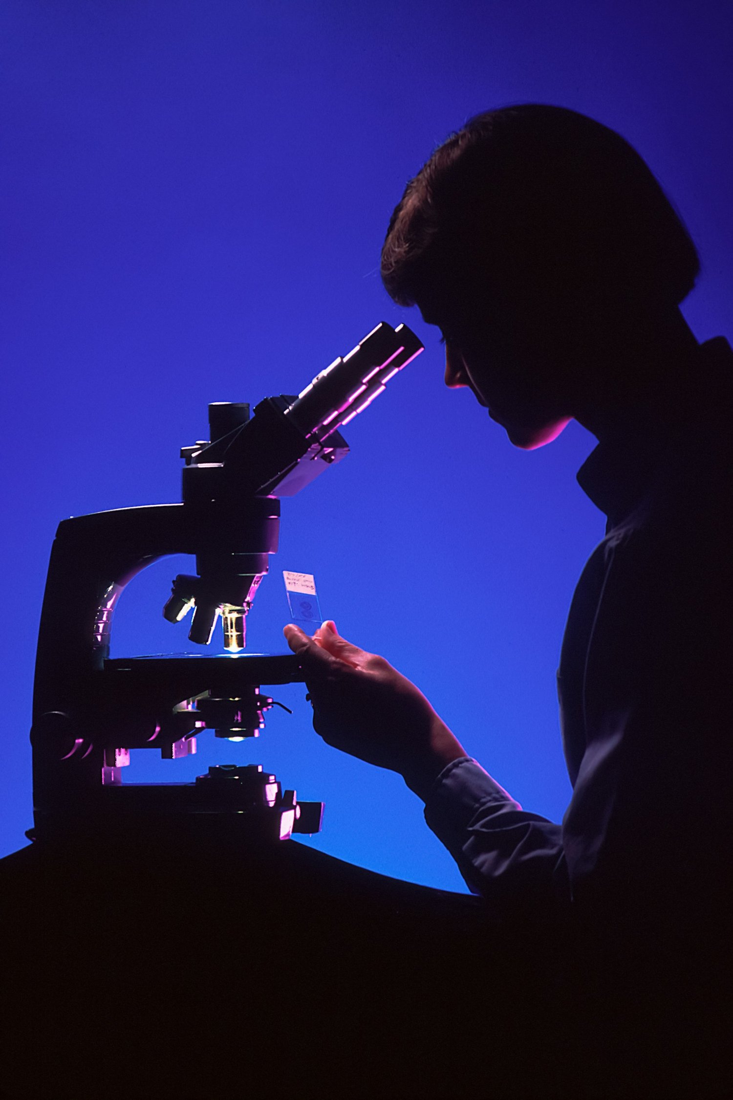 Scientist looking through microscope